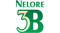sumario-de-touros-das-racas-nelore-guzera-brahman-e-tabapua-i-agosto-de-2024